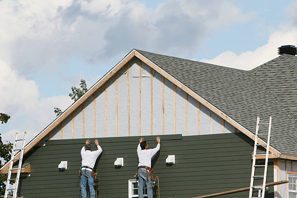 Best Custom Trim and Detailing for Siding  in Plainview, NE